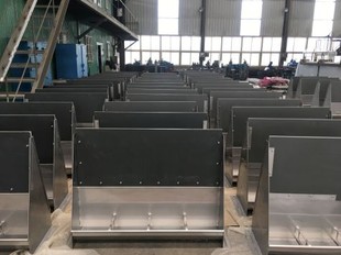 מזין שוקת חזיר